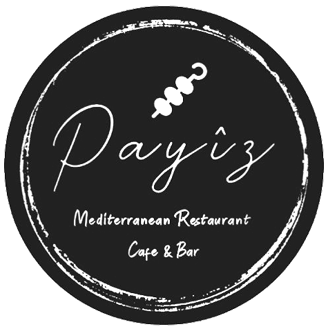 Payiz Logo